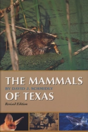 The Mammals Of Texas