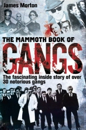 The Mammoth Book Of Gangs