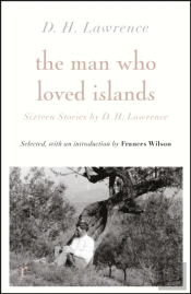 The Man Who Loved Islands: Sixteen Stories (Riverrun Editions) By D H Lawrence