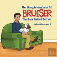 The Many Adventures Of Bruiser The Jack Russell Terrier