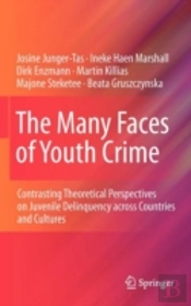 The Many Faces Of Youth Crime