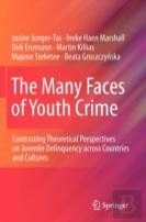 The Many Faces Of Youth Crime