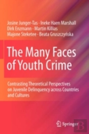 The Many Faces Of Youth Crime