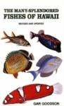 The Many-Splendored Fishes Of Hawaii