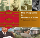 The Mapuche In Modern Chile
