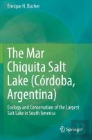 The Mar Chiquita Salt Lake (Cordoba, Argentina)