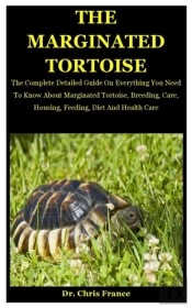 The Marginated Tortoise