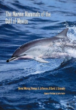 Bertrand.pt - The Marine Mammals Of The Gulf Of Mexico