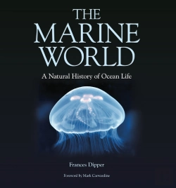 Bertrand.pt - The Marine World