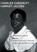 The Marrow Of Tradition And Incidents In The Life Of A Slave Girl