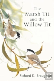 The Marsh Tit And The Willow Tit