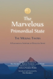 The Marvelous Primordial State