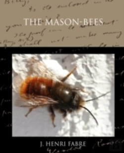 Bertrand.pt - The Mason-Bees
