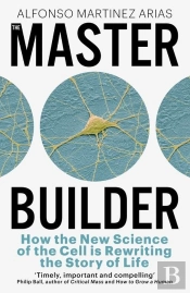The Master Builder