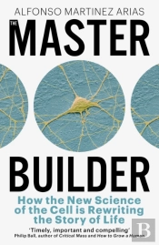 The Master Builder