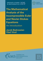 The Mathematical Analysis Of The Incompressible Euler And Navier-Stokes Equations