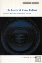 The Matrix Of Visual Culture