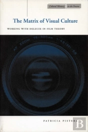 The Matrix Of Visual Culture