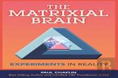 The Matrixial Brain