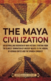 The Maya Civilization: An Enthralling Ov