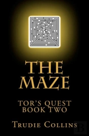The Maze