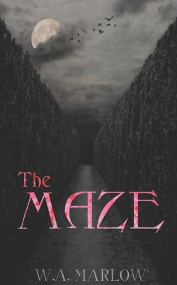 Bertrand.pt - The Maze