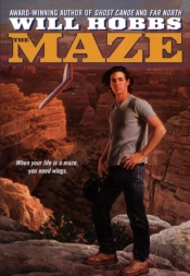 The Maze