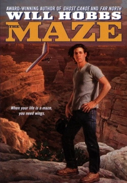 Bertrand.pt - The Maze