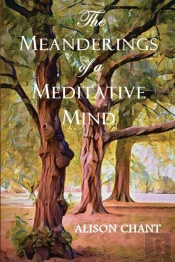 The Meanderings Of A Meditative Mind