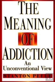 The Meaning Of Addiction
