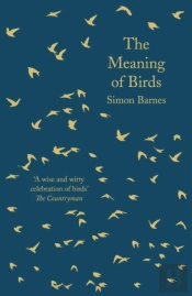 The Meaning Of Birds