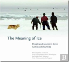 The Meaning Of Ice