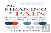 The Meaning Of Pain