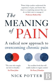 The Meaning Of Pain