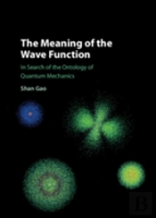 The Meaning Of The Wave Function