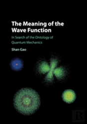 The Meaning Of The Wave Function