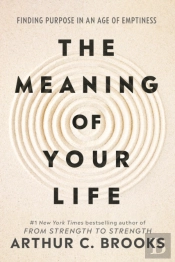 The Meaning Of Your Life