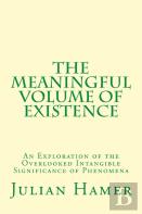 The Meaningful Volume Of Existence