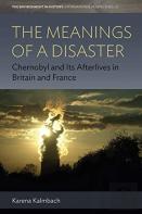 The Meanings Of A Disaster