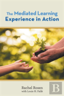 The Mediated Learning Experience In Action
