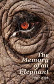 The Memory Of An Elephant