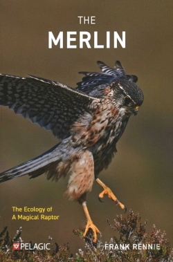 Bertrand.pt - The Merlin