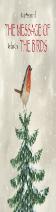 The Message Of The Birds