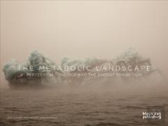The Metabolic Landscape