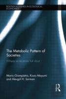 The Metabolic Pattern Of Societies