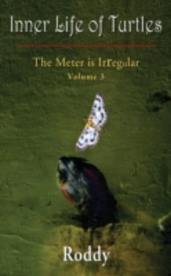 Bertrand.pt - The Meter Is Irregular, Volume 3 - Inner Life Of Turtles