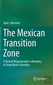 The Mexican Transition Zone