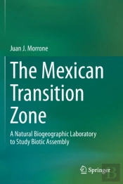 The Mexican Transition Zone