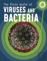 The Micro World Of Viruses And Bacteria