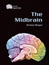 The Midbrain